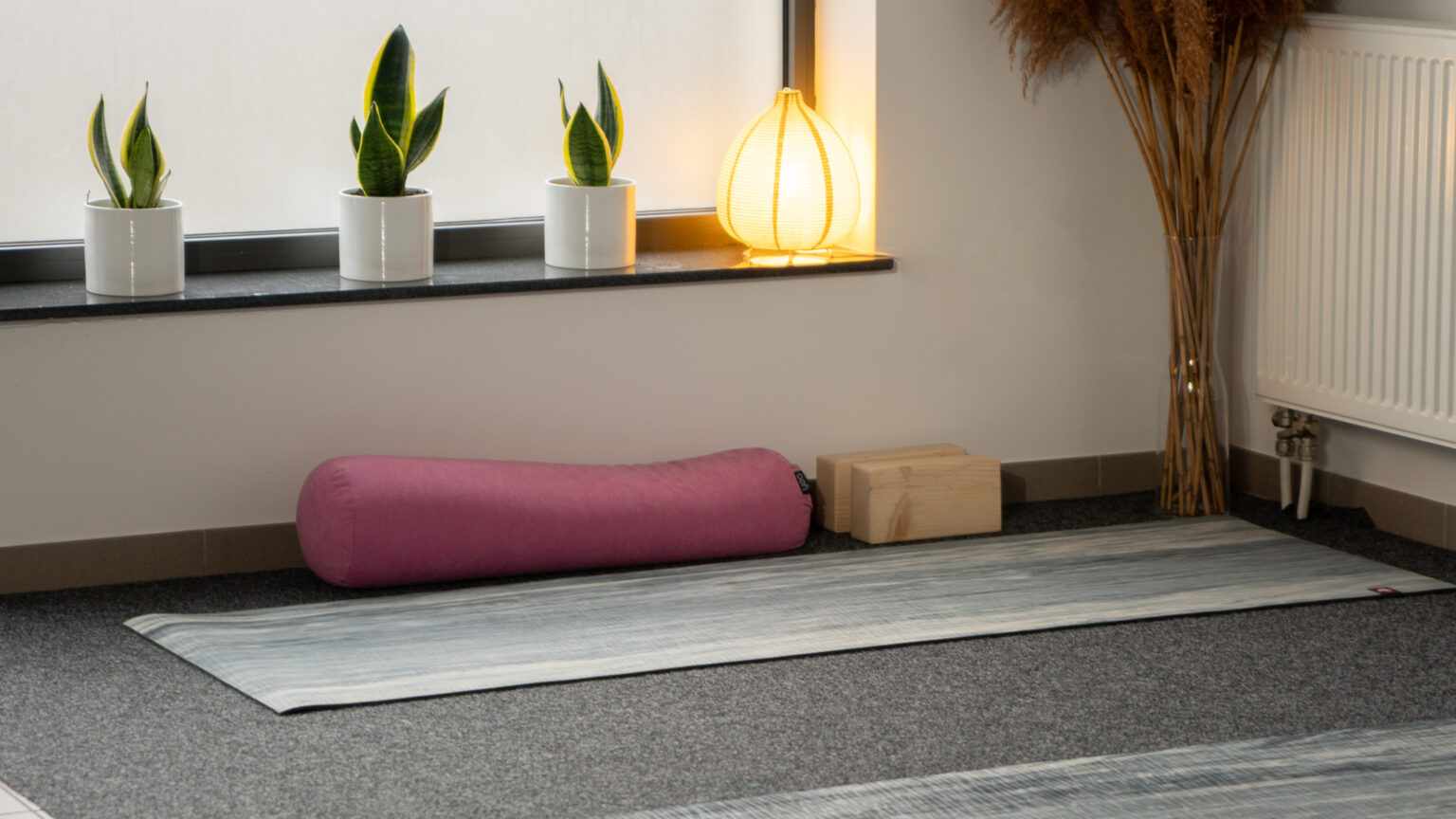 Joga w Rumi